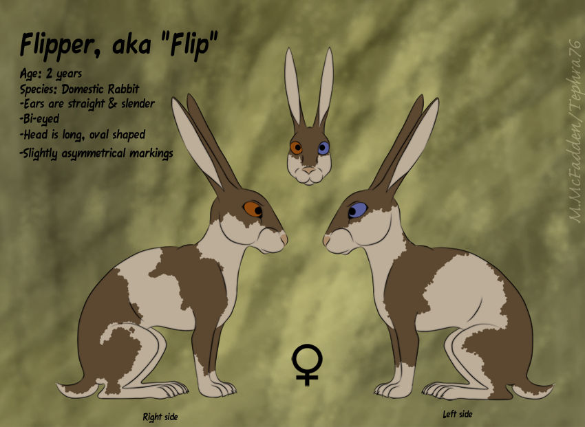 Tal-wk Rabbits character ref- Flipper by Tephra76 on DeviantArt