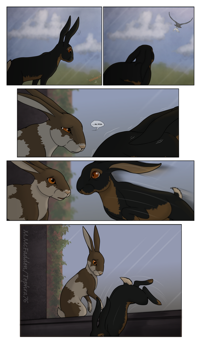 Tkd Rabbit The Tal-wk Rabbits, Page 9 by Tephra76 on DeviantArt