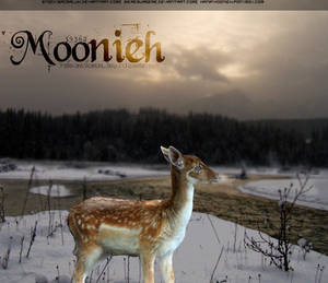 Moonieh.. Newest Layout