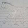 my first drawn horse