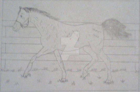 my first drawn horse