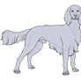 Lineart: Wiltshire Spaniel Male