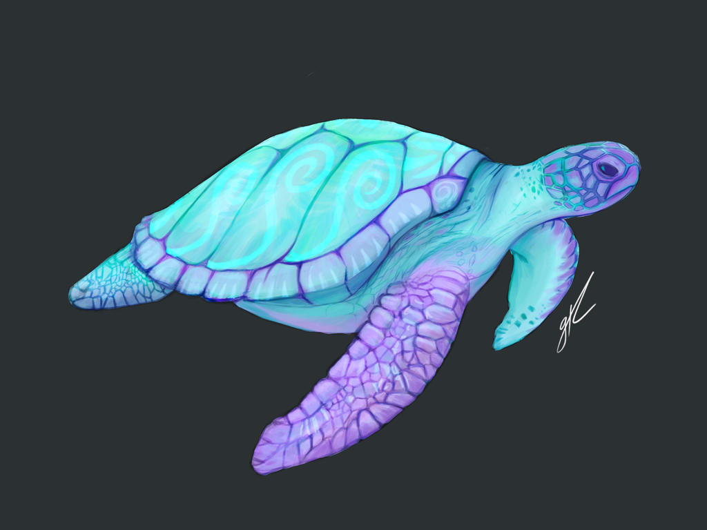Deviantart Softshell Turtle Turtle by GusEspinel on DeviantArt