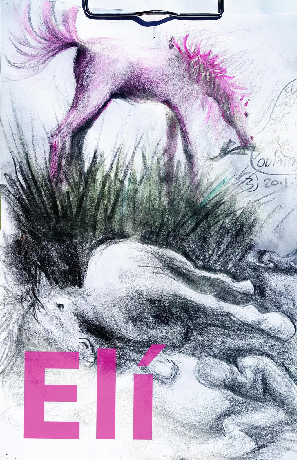 Horse Sketch Lying Pose Pink Pencil