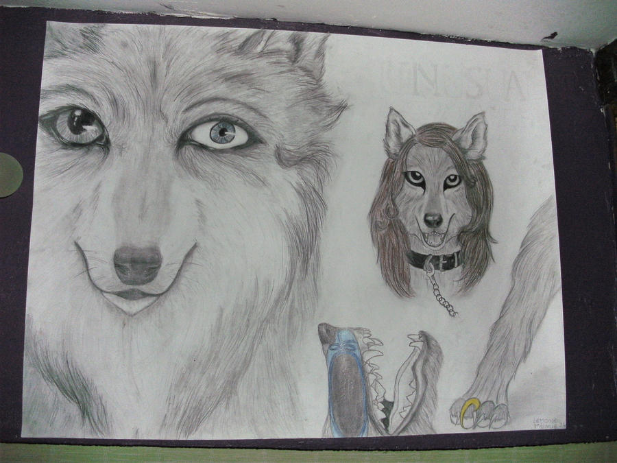 Projet d'arts plastiques 3eme by O-Shana on DeviantArt