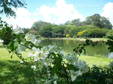 Ibirapuera-Sao Paulo