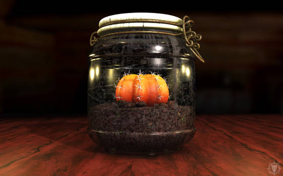 Moon Cactus in a Jar