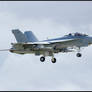 Boeing F/A-18F Super Hornet