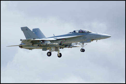 Boeing F/A-18F Super Hornet