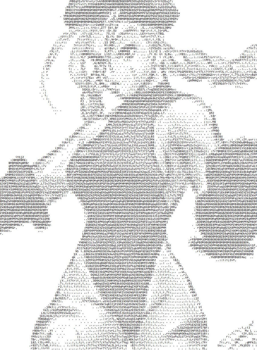 ASCII cammy