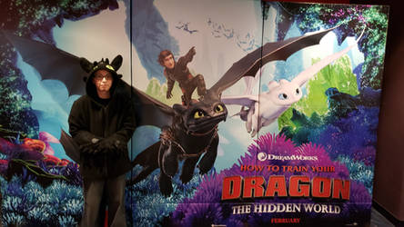 How To Train Your Dragon Custom Toothless Hoodie11