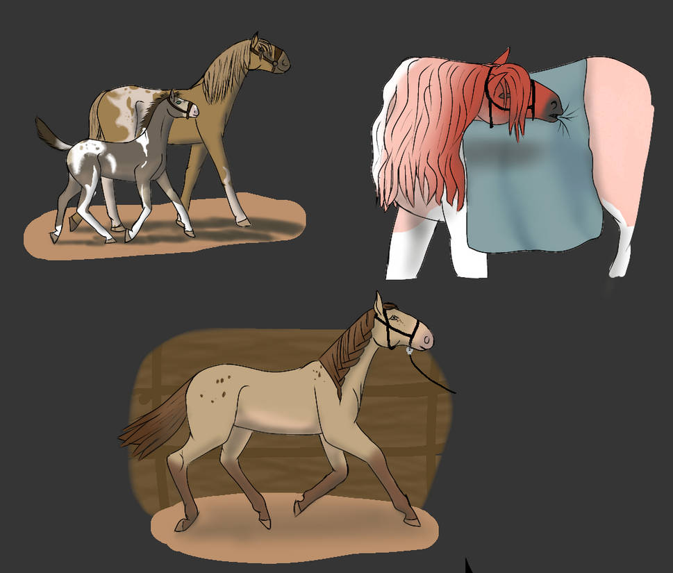 Imk2015 Deviantart Training by Bluejoy14 on DeviantArt