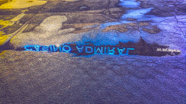 Neon reflection in puddle