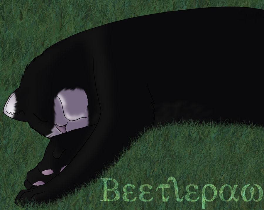 Beetlepaw :AT: