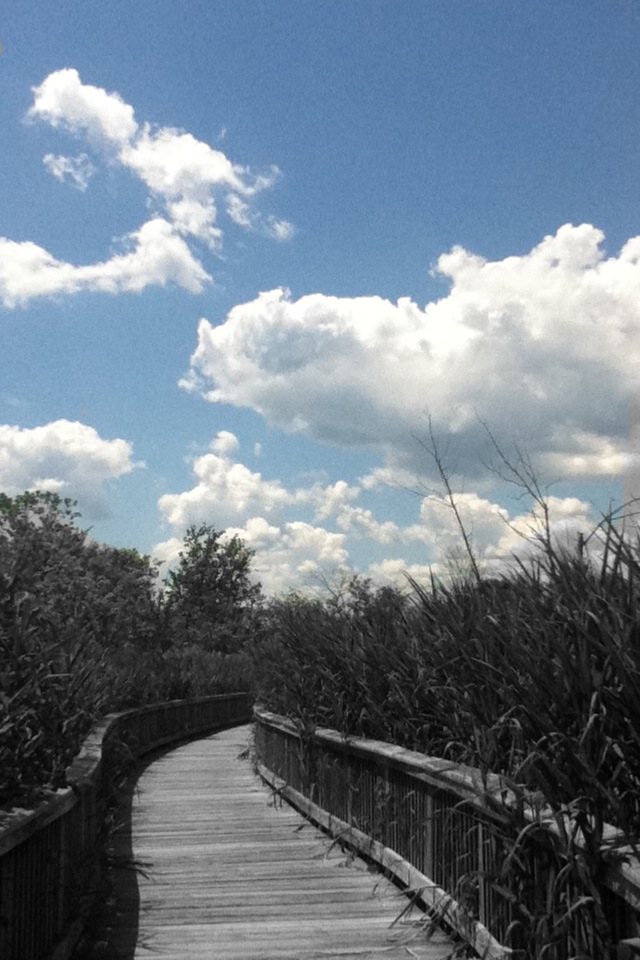 Long Pathway by bunniesRawesome on DeviantArt