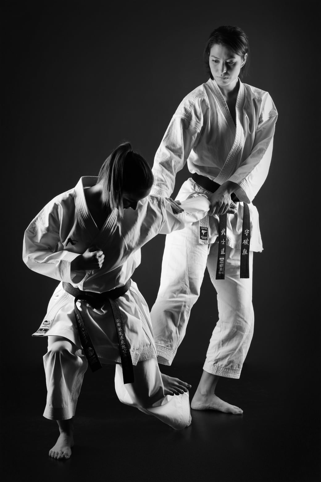 Setting up the finisher