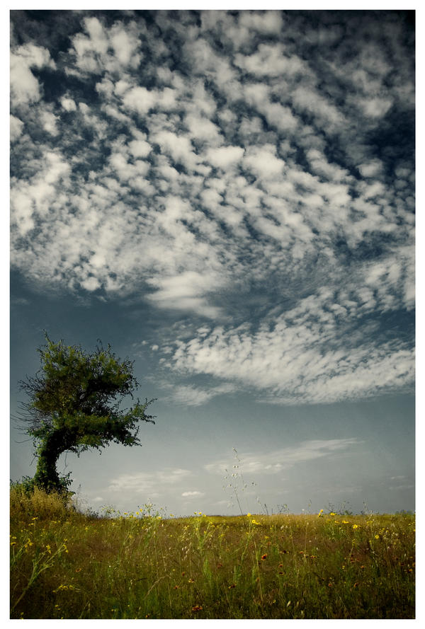 Bent Tree