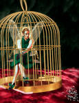 Caged Fairy by ctribeiro