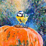 Pumpkin bluetit