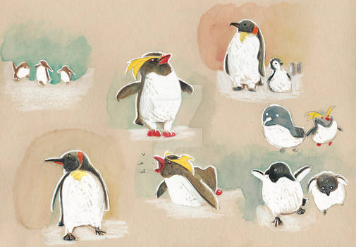 Explore The Best Pingouin Art Deviantart Explore The Best Pingouin Art Deviantart
