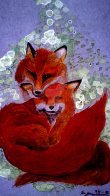 Foxes - a darker version
