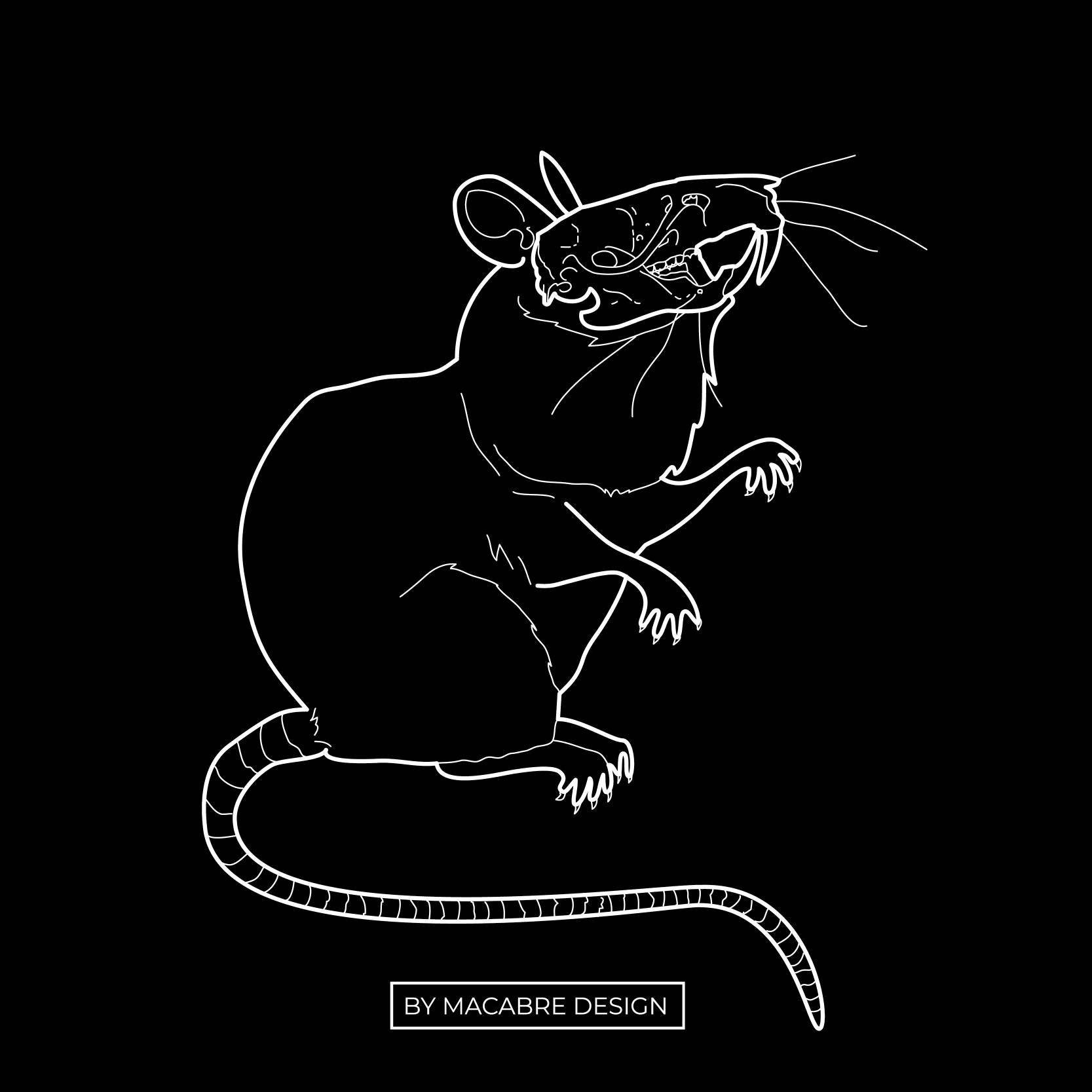 Year of a rat