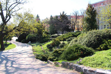 Timisoara park 3