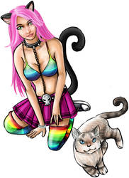 Rainbow Cats 2