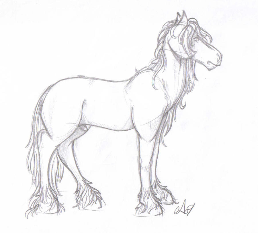 Horse Study