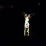 Home Made Christmas Deer