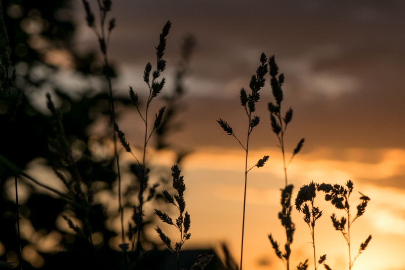 a quiet evening