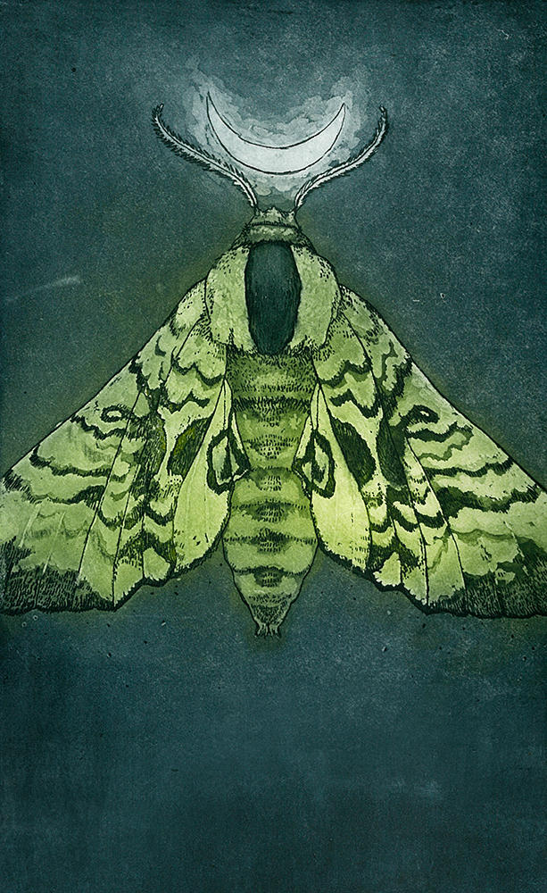 Saphingidae sphingidae stand II by Korpinarhi on DeviantArt