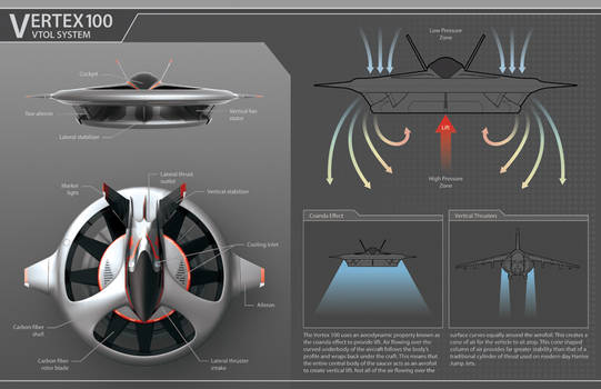 Vertex100 Information Sheet