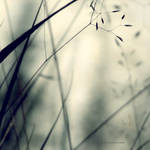 How she loves by PiaG