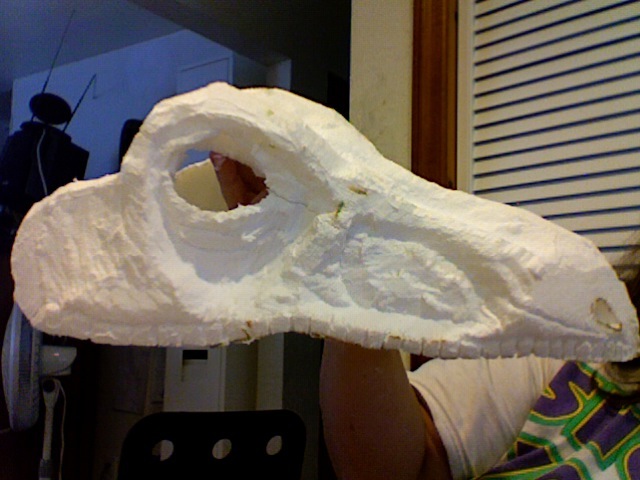 Velociraptor mask, stage 1