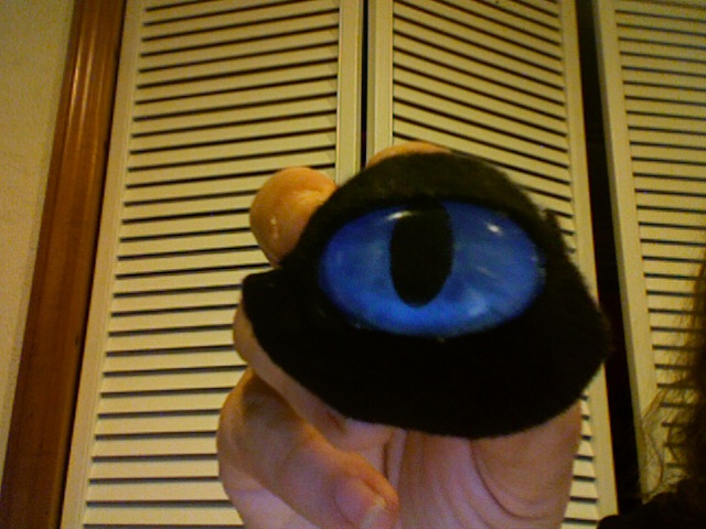 cat puppet:eye