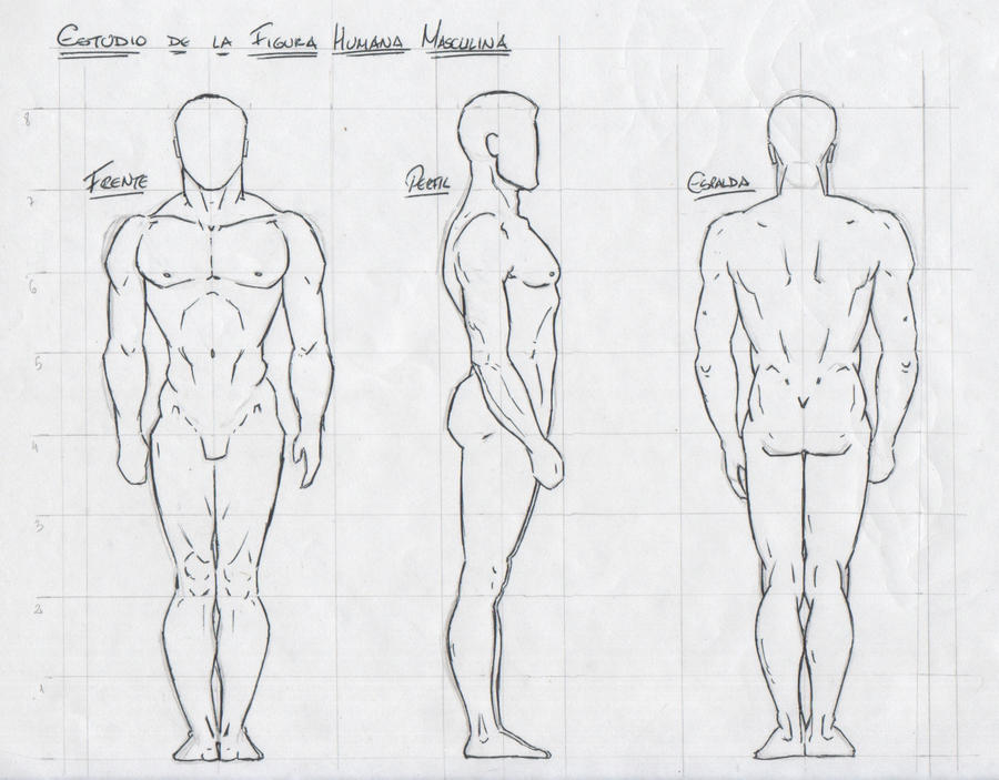 Man Figure Structure Study - Male Figure by jpaolonovelli on DeviantArt