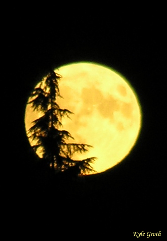 Hemlock Moon