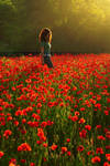 Poppy girl by demony