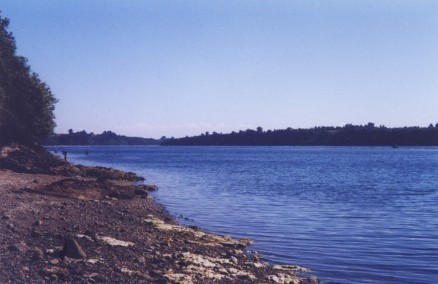 Calbuco