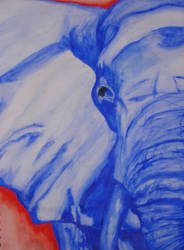 blue purple elephant