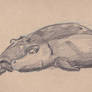 Hippo Family Study