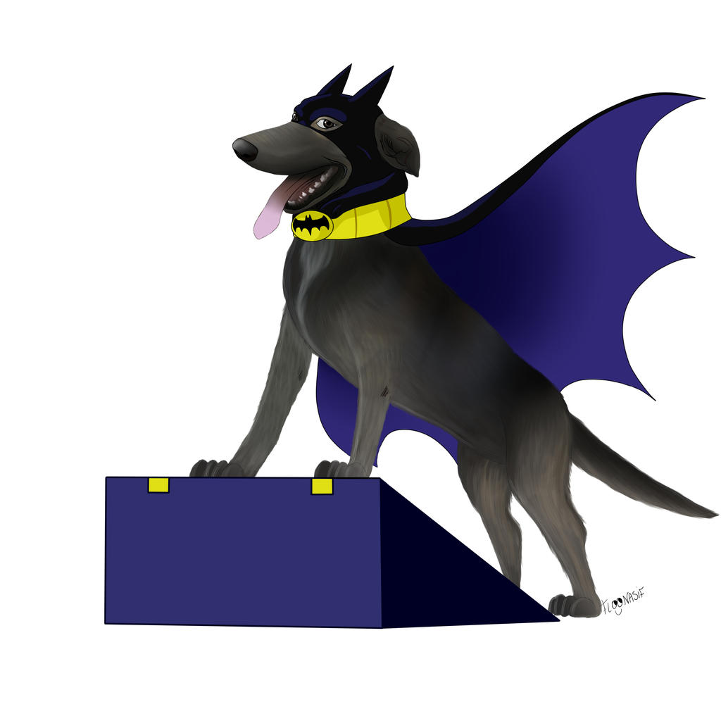BATDOG (perro batman) by FlooNasif on DeviantArt