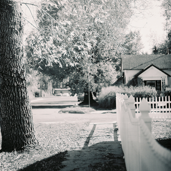 American Backyard