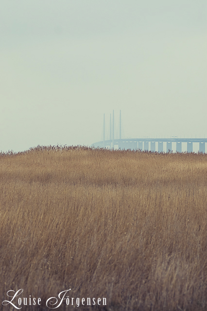 A field and a bridge