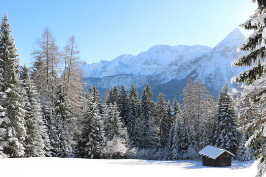 Little Cabin In The Mountains