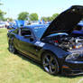 Saleen 302 Mustang