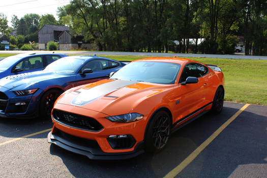 Ford Mustang Mach 1