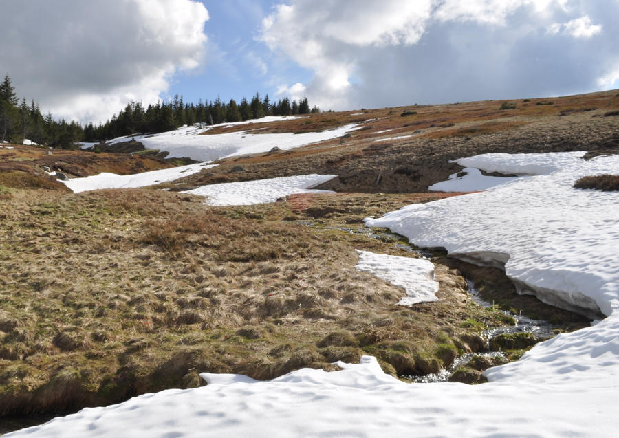 nearly spring by jynto on DeviantArt