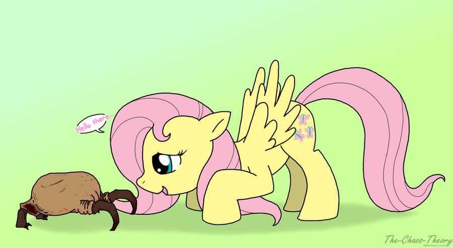 fluttershy's new friend by Sandwich-Anomaly